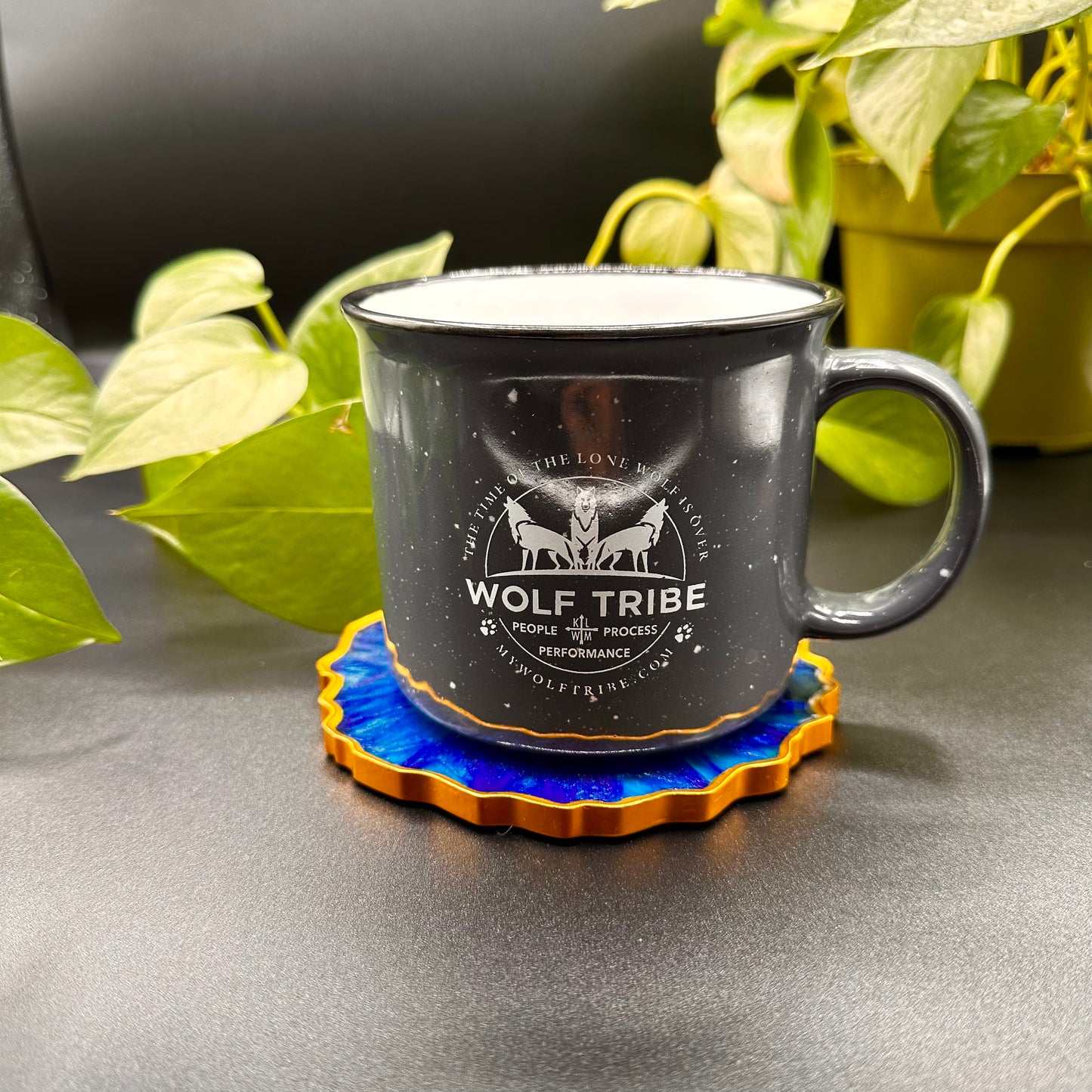 Celestial  Burst Coaster